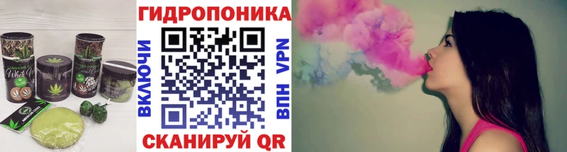 Cannafood марихуана  сайты даркнета клад  Вольск  сколько стоит 